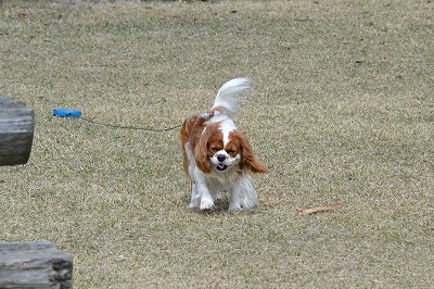 DSC_0102_20120507201355.jpg