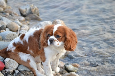 DSC_0110_20120720200327.jpg