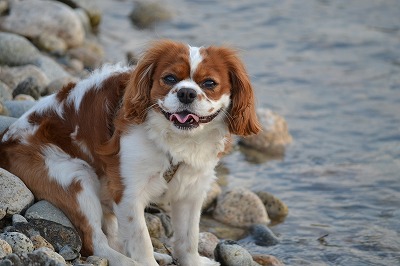DSC_0125_20120720200522.jpg