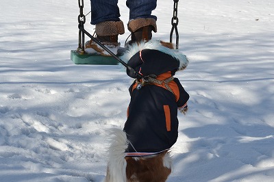 DSC_0156_20121221174746.jpg
