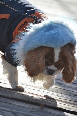 DSC_0182_20130115144358.jpg
