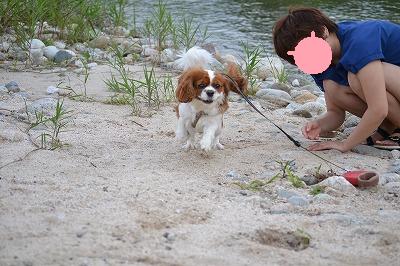 DSC_0185_20120726210708.jpg
