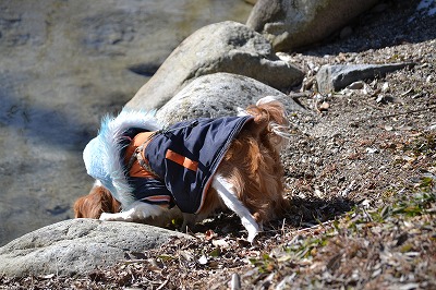 DSC_0193_20130115144502.jpg