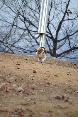 DSC_0376_20121216075514.jpg
