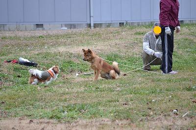 DSC_0514_20121208105148.jpg