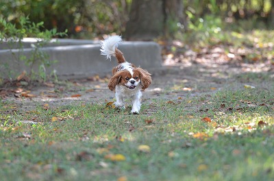 DSC_3611.jpg