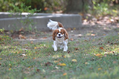 DSC_3616.jpg