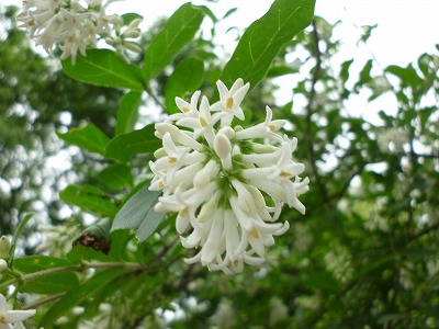 P1000675.jpg