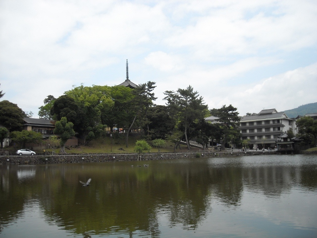 DSCN1041 (640x480)