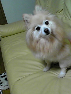 120609_2029~01-2012-06-21
