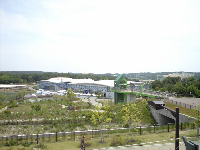 CA3A0529-2012-06-12.jpg