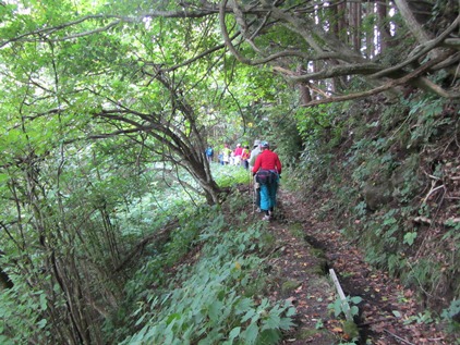 青鬼の田を潤す水の通り道・・・青鬼堰