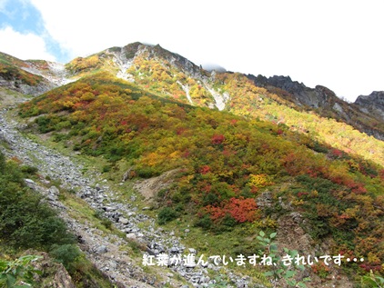 針の木沢の紅葉