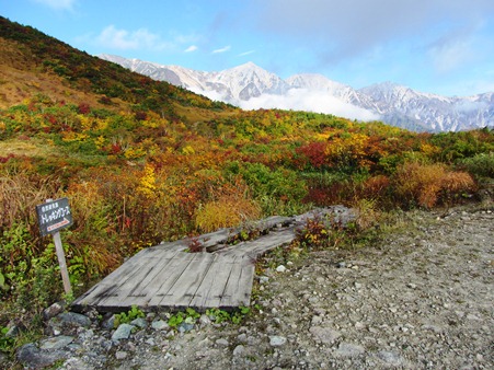 黒菱平から急登を上がったところ、三山がきれいに紅葉に映えて・・・