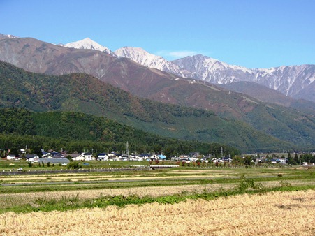10/20 朝の家の前からの様子、紅葉前線が下に下に。