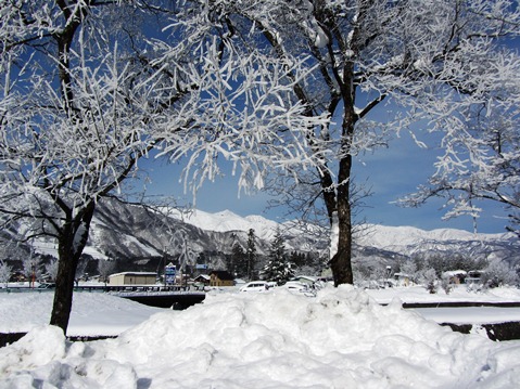 12月14日樹氷と白馬三山