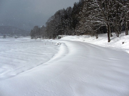 白馬の田んぼ道真っ白な私だけの道