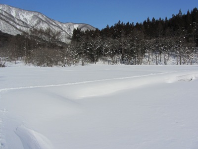 厳冬の親海湿原2