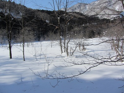 厳冬の親海湿原4