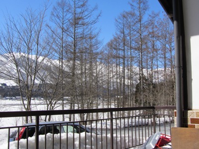 落葉松の後ろに白馬三山