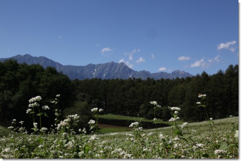 中山高原から見える鹿島槍ヶ岳・爺が岳の北アルプス連峰