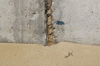 スナ
