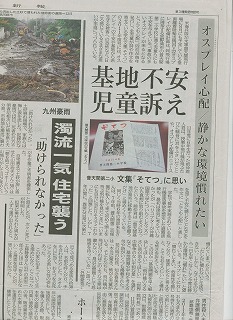 無題蘇鉄