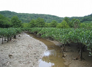 図1