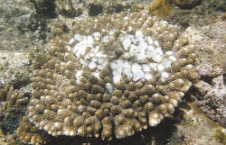 20120817_0940_L3ckLeH7_l.jpg