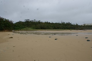 台風16号