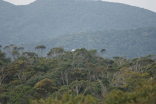 図3