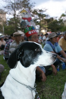 4市民