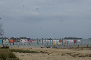 海