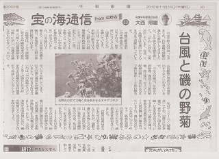 平和