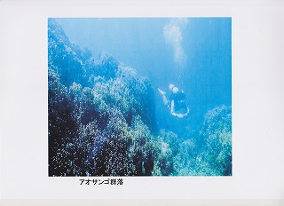 D平和