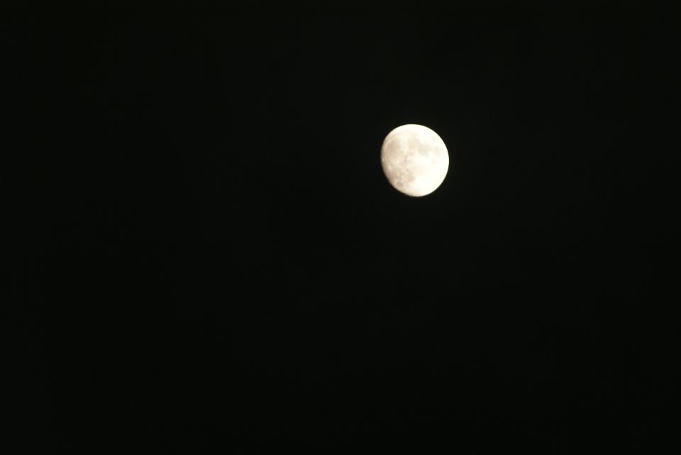 425639_210277105775836_34942924_n.jpg