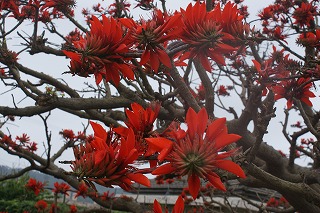 DSC02056.jpg
