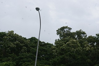 DSC02135.jpg