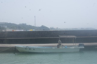 DSC02235.jpg