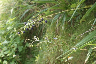 DSC02261.jpg