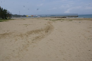 DSC02282.jpg