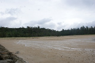 DSC02323.jpg