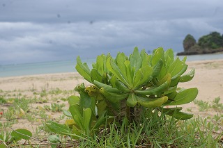 DSC02325.jpg
