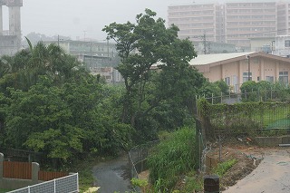 DSC02368.jpg