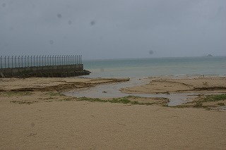 DSC02369.jpg
