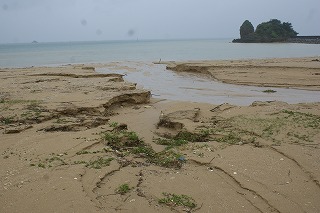 DSC02371.jpg