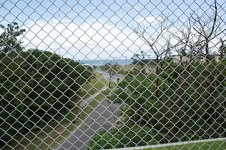DSC02403.jpg