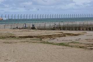 DSC02404.jpg