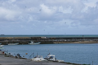 DSC02422.jpg