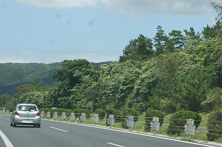 DSC02424.jpg